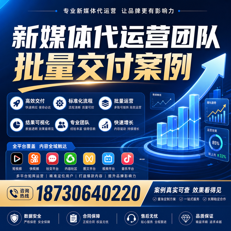 鹤壁代运营公司多客户账号批量高效交付案例